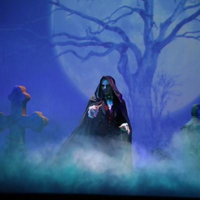 Das Phantom der Oper Angebote